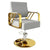 Modern Regular Chair with Hydraulic Lift for Home Office Hotel Cafe Chair (1 Unit Silver & Gold)