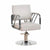 Modern Regular Chair with Hydraulic Lift for Home Office Hotel Cafe Chair (1 Unit Silver & Gold)