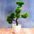 4937 Artificial Potted Plant with Round Pot 